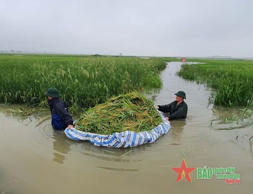 Vĩnh Phúc: Bộ đội nỗ lực giúp dân khắc phục hậu quả mưa lũ